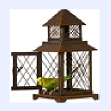 bird with open cage